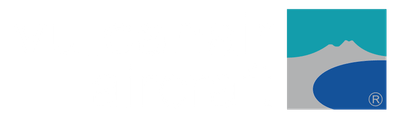 Vulcanair